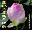 Published on 1/1/2006 ��½���ϱ��󷨵��ӹ�ף�ȱ�ΰ���ʦ������ã��ģ�