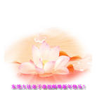 Published on 1/30/2006 ��½�󷨵��ӹ�ףʦ��ũ������ã��ߣ�