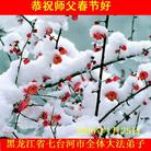 Published on 1/30/2006 ��½�󷨵��ӹ�ףʦ��ũ������ã�����