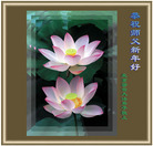 Published on 12/30/2006 ��½�󷨵��ӹ�ףʦ��������֣�һ��