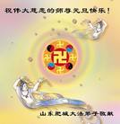 Published on 12/30/2006 ��½�󷨵��ӹ�ףʦ��������֣�����