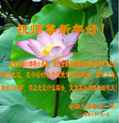 Published on 12/31/2006 ��½�󷨵��ӹ�ףʦ��������֣��ģ�