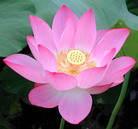 Published on 5/13/2006 ��½���ӹ���ʦ�𻪵��ߵ��߽����編�ִ��գ�����