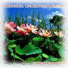 Published on 5/15/2006 ��½���ӹ���ʦ�𻪵��ߵ��߽����編�ִ��գ��ˣ� 