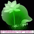 Published on 5/16/2006 ��½���ӹ���ʦ�𻪵��ߵ��߽����編�ִ��գ�ʮ��