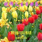 Published on 5/16/2006 ��½���ӹ���ʦ�𻪵��ߵ��߽����編�ִ��գ�ʮ��