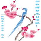 Published on 5/11/2006 ��½�󷨵���ף��ʦ�����տ��֣�һ��