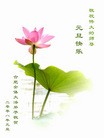 Published on 2/14/2013 ���ֹ�,��½�󷨵��ӹ�ףʦ������ã�45����
