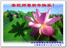 Published on 2/14/2013 ���ֹ�,��½�󷨵��ӹ�ףʦ������ã�45����
