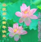 Published on 2/18/2007 ��½�󷨵�����ʦ����꣨�壩