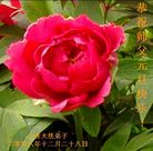 Published on 1/1/2009 ��½�󷨵��ӹ�ףʦ��Ԫ�����֣�ʮ�ߣ�