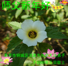 Published on 1/1/2009 ��½�󷨵��ӹ�ףʦ��Ԫ�����֣�ʮ�ģ�