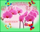 Published on 2/14/2013 ���ֹ�,��½�󷨵��ӹ�ףʦ������ã�45����
