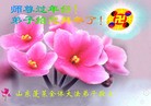 Published on 2/14/2013 ���ֹ�,��½�󷨵��ӹ�ףʦ������ã�45����
