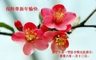 Published on 2/14/2013 ���ֹ�,��½�󷨵��ӹ�ףʦ������ã�45����
