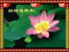 Published on 2/14/2013 ���ֹ�,��½�󷨵��ӹ�ףʦ������ã�45����
