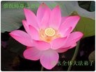 Published on 2/14/2013 ���ֹ�,��½�󷨵��ӹ�ףʦ������ã�45����
