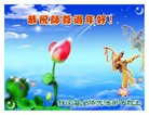 Published on 2/14/2013 ���ֹ�,��½�󷨵��ӹ�ףʦ������ã�45����
