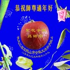 Published on 1/26/2009 ���ֹ�,��½�󷨵��ӹ�ףʦ��������֣�ʮ����22ҳ��