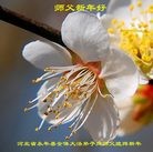 Published on 1/26/2009 ���ֹ�,�ӱ������ϴ󷨵��ӹ�ף�ȱ���ʦ�������