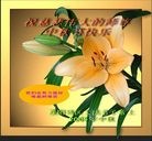 Published on 10/3/2009 ���ִ������� - ��½�󷨵��ӹ�ףʦ��������֣�ʮ����21ҳ��