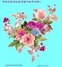 Published on 10/3/2009 ���ִ������� - ��½�󷨵��ӹ�ףʦ��������֣�ʮ����20ҳ��