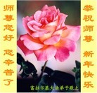 Published on 12/31/2009 ���ֹ�,��½�󷨵��ӹ�ףʦ��Ԫ�����֣�һ����100������ - ���ִ������� - minghui.org