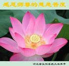 Published on 5/13/2009 ��½���ӹ���ʦ�𻪵������編�ִ��գ���ʮ�壩