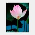 Published on 5/13/2009 ��½���ӹ��ص�ʮ�����編�ִ��գ�ʮ�ţ�