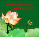 Published on 5/13/2009 ��½���ӹ��ص�ʮ�����編�ִ��գ���ʮһ��