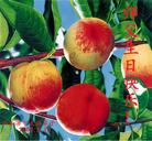 Published on 5/13/2009 ��½���ӹ��ص�ʮ�����編�ִ��գ�ʮ�ģ���200�أ�