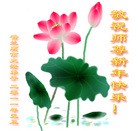 Published on 1/1/2012 ���ֹ�,��½�󷨵��ӹ�ףʦ��Ԫ�����֣��ģ� - ���ִ�������
