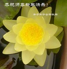 Published on 1/1/2011 ���ֹ�,��½�󷨵��ӹ�ףʦ��Ԫ�����֣�ʮһ�� - ���ִ�������
