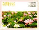 Published on 2/14/2013 ���ֹ�,��½�󷨵��ӹ�ףʦ������ã�45����
