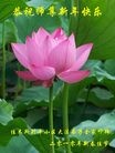 Published on 2/14/2013 ���ֹ�,��½�󷨵��ӹ�ףʦ������ã�45����
