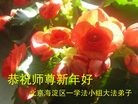 Published on 2/14/2013 ���ֹ�,��½�󷨵��ӹ�ףʦ������ã�45����
