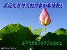 Published on 2/14/2013 ���ֹ�,��½�󷨵��ӹ�ףʦ������ã�45����

