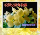 Published on 2/14/2013 ���ֹ�,��½�󷨵��ӹ�ףʦ������ã�45����
