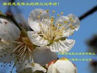 Published on 2/14/2013 ���ֹ�,��½�󷨵��ӹ�ףʦ������ã�45����
