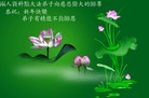 Published on 2/14/2013 ���ֹ�,��½�󷨵��ӹ�ףʦ������ã�45����
