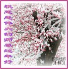 Published on 2/14/2010 ���ֹ�,���е����󷨵��ӹ�ףʦ��������֣���220�أ� - ���ִ������� - minghui.org