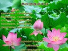 Published on 2/14/2013 ���ֹ�,��½�󷨵��ӹ�ףʦ������ã�45����
