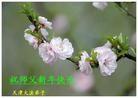 Published on 2/14/2013 ���ֹ�,��½�󷨵��ӹ�ףʦ������ã�45����
