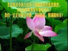 Published on 2/14/2013 ���ֹ�,��½�󷨵��ӹ�ףʦ������ã�45����
