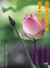 Published on 2/14/2013 ���ֹ�,��½�󷨵��ӹ�ףʦ������ã�45����
