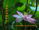 Published on 2/14/2013 ���ֹ�,��½�󷨵��ӹ�ףʦ������ã�45����

