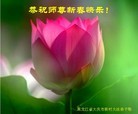 Published on 2/14/2013 ���ֹ�,��½�󷨵��ӹ�ףʦ������ã�45����
