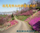 Published on 2/14/2013 ���ֹ�,��½�󷨵��ӹ�ףʦ������ã�45����
