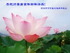 Published on 2/14/2013 ���ֹ�,��½�󷨵��ӹ�ףʦ������ã�45����
