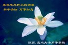 Published on 2/14/2013 ���ֹ�,��½�󷨵��ӹ�ףʦ������ã�45����
